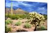 Organ Pipe Cactus NM, Saguaro and Cholla Cactus in the Ajo Mountains-Richard Wright-Stretched Canvas