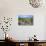 Organ Pipe Cactus NM, Saguaro and Cholla Cactus in the Ajo Mountains-Richard Wright-Photographic Print displayed on a wall