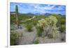 Organ Pipe Cactus NM, Saguaro and Cholla Cactus in the Ajo Mountains-Richard Wright-Framed Photographic Print