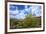 Organ Pipe Cactus NM, Saguaro and Organ Pipe Cactus to the Ajo Mts-Richard Wright-Framed Photographic Print