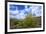 Organ Pipe Cactus NM, Saguaro and Organ Pipe Cactus to the Ajo Mts-Richard Wright-Framed Photographic Print