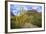 Organ Pipe Cactus NM, Saguaro and Organ Pipe Cactus to the Ajo Mts-Richard Wright-Framed Photographic Print