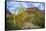 Organ Pipe Cactus NM, Saguaro and Organ Pipe Cactus to the Ajo Mts-Richard Wright-Framed Stretched Canvas