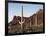 Organ Pipe Cactus Nm, Saguaro Cacti in the Ajo Mountains-Christopher Talbot Frank-Framed Photographic Print