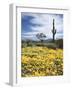 Organ Pipe Cactus Nm, Saguaro Cactus and Desert Wildflowers-Christopher Talbot Frank-Framed Photographic Print