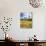 Organ Pipe Cactus Nm, Saguaro Cactus and Desert Wildflowers-Christopher Talbot Frank-Photographic Print displayed on a wall