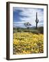 Organ Pipe Cactus Nm, Saguaro Cactus and Desert Wildflowers-Christopher Talbot Frank-Framed Photographic Print