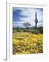 Organ Pipe Cactus Nm, Saguaro Cactus and Desert Wildflowers-Christopher Talbot Frank-Framed Photographic Print