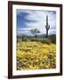 Organ Pipe Cactus Nm, Saguaro Cactus and Desert Wildflowers-Christopher Talbot Frank-Framed Photographic Print