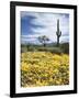 Organ Pipe Cactus Nm, Saguaro Cactus and Desert Wildflowers-Christopher Talbot Frank-Framed Photographic Print