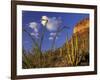 Organ Pipe Cactus with Ocotillo, Organ Pipe Cactus National Monument, Arizona, USA-Jamie & Judy Wild-Framed Photographic Print