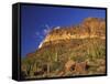 Organ Pipe Forest with Saguaro, Organ Pipe Cactus National Monument, Arizona, USA-Jamie & Judy Wild-Framed Stretched Canvas