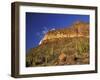 Organ Pipe Forest with Saguaro, Organ Pipe Cactus National Monument, Arizona, USA-Jamie & Judy Wild-Framed Photographic Print