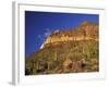 Organ Pipe Forest with Saguaro, Organ Pipe Cactus National Monument, Arizona, USA-Jamie & Judy Wild-Framed Photographic Print