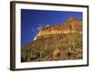 Organ Pipe Forest with Saguaro, Organ Pipe Cactus National Monument, Arizona, USA-Jamie & Judy Wild-Framed Photographic Print