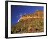 Organ Pipe Forest with Saguaro, Organ Pipe Cactus National Monument, Arizona, USA-Jamie & Judy Wild-Framed Photographic Print