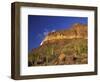 Organ Pipe Forest with Saguaro, Organ Pipe Cactus National Monument, Arizona, USA-Jamie & Judy Wild-Framed Photographic Print