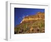 Organ Pipe Forest with Saguaro, Organ Pipe Cactus National Monument, Arizona, USA-Jamie & Judy Wild-Framed Photographic Print