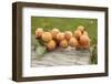 Organic Apricots on Branch with Leaves on Wood-Eising Studio - Food Photo and Video-Framed Photographic Print