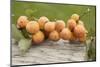 Organic Apricots on Branch with Leaves on Wood-Eising Studio - Food Photo and Video-Mounted Photographic Print