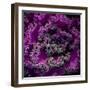 Organic Artistry-Steven Maxx-Framed Photographic Print