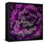 Organic Artistry-Steven Maxx-Framed Stretched Canvas