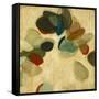 Organic Beauty II-Randy Hibberd-Framed Stretched Canvas