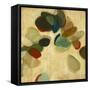 Organic Beauty II-Randy Hibberd-Framed Stretched Canvas