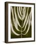 Organic Bloom III-Victoria Barnes-Framed Art Print