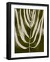 Organic Bloom III-Victoria Barnes-Framed Art Print