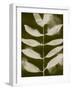 Organic Bloom V-Victoria Barnes-Framed Art Print