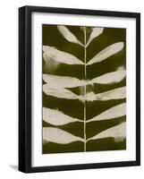 Organic Bloom VI-Victoria Barnes-Framed Art Print