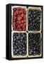 Organic, Blueberries and Raspberries-null-Framed Stretched Canvas