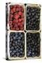 Organic, Blueberries and Raspberries-null-Stretched Canvas