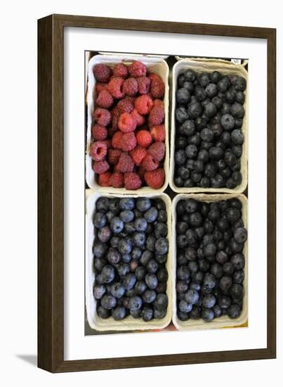 Organic, Blueberries and Raspberries-null-Framed Photo