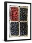Organic, Blueberries and Raspberries-null-Framed Photo