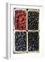 Organic, Blueberries and Raspberries-null-Framed Photo