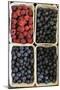 Organic, Blueberries and Raspberries-null-Mounted Photo