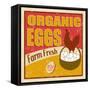 Organic Eggs Vintage Poster-radubalint-Framed Stretched Canvas