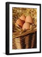 Organic, Eggs-null-Framed Photo