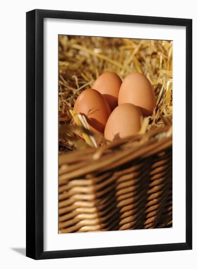 Organic, Eggs-null-Framed Photo