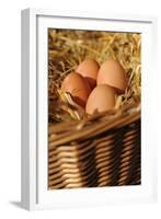 Organic, Eggs-null-Framed Photo