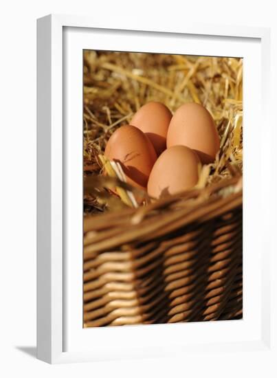 Organic, Eggs-null-Framed Photo