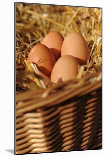 Organic, Eggs-null-Mounted Photo