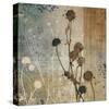 Organic Elements I-Tandi Venter-Stretched Canvas