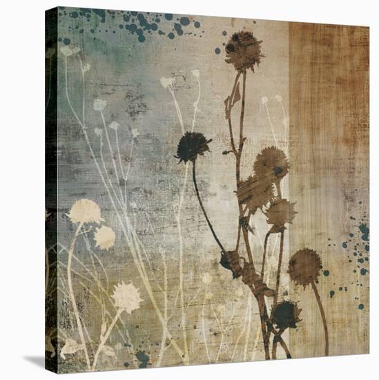 Organic Elements I-Tandi Venter-Stretched Canvas