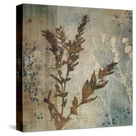 Organic Elements II-Tandi Venter-Stretched Canvas