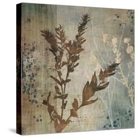 Organic Elements II-Tandi Venter-Stretched Canvas