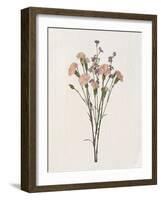 Organic Floral I-Natalie Carpentieri-Framed Art Print