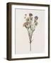 Organic Floral II-Natalie Carpentieri-Framed Art Print